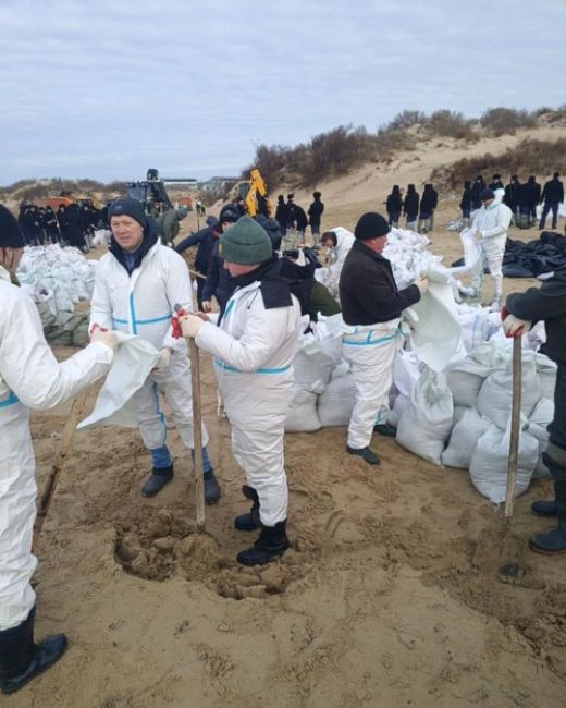 Второй день волонтеры с Новороссийска оказывают помощь г.Анапе в расчистке пляжей от мазута...  Вместе мы..