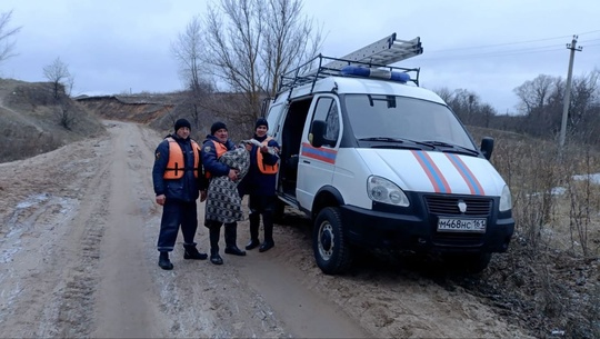 🦢 В Ростовской области спасатели помогли лебедю. Птица примерзла к воде в одном из прудов Азовского района...