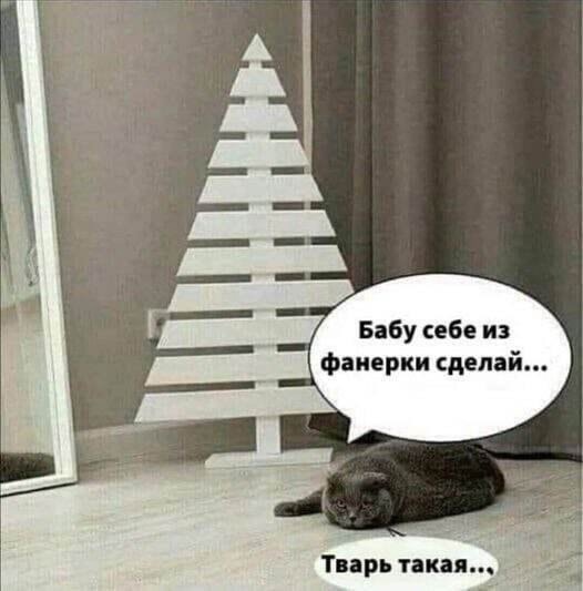 🌲Когда попросила его купить бюджетную ёлку на Новый Год 🤣  ⚠ВНИМАНИЕ! [https://vk.com/video/@etorostovnadonu|Видео могут..