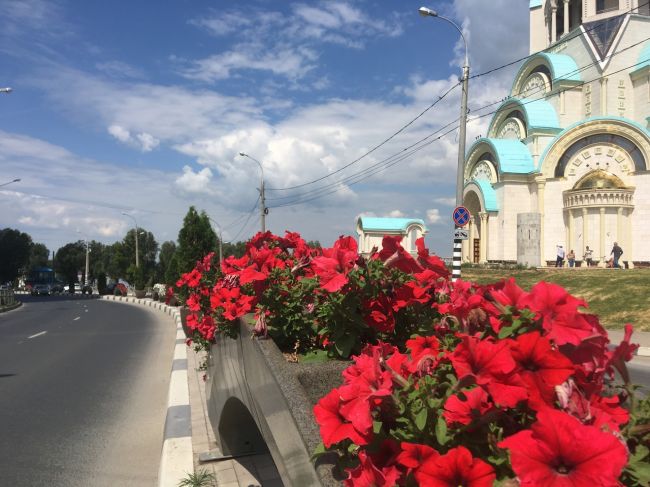 🌷В Самаре в 2025 году планируют высадить цветы в 150 скверах, бульварах и аллеях, а также на 14 развязках 
Общая..