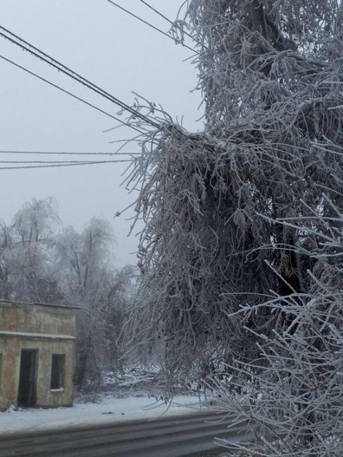 🥶 Пока в Ростове мерзко от слякоти, в Гуково настоящий ледяной ад. Из-за замерзших деревьев линии..