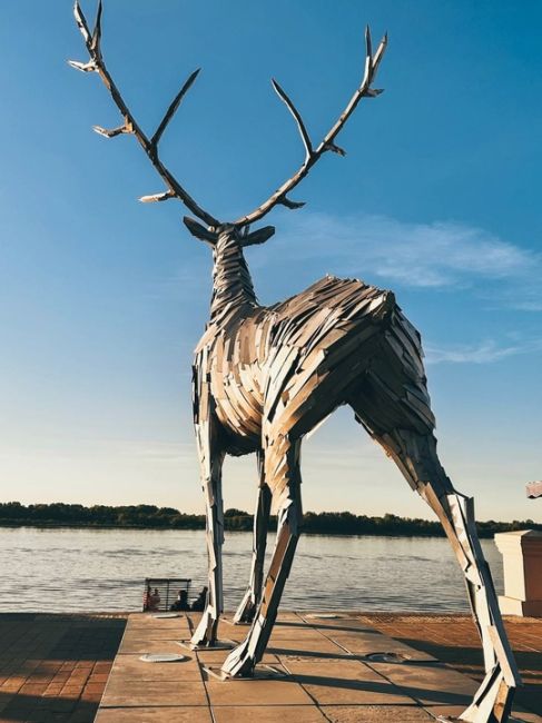 Величественные головы оленей 💟 
🦌Площадь Октябрьская 
🦌У Чкаловской лестницы 
🦌В..