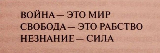 Петербуржцы, проходившие мимо башни «Лидер» в Московском районе, словно оказались в City 17 из легендарной игры..