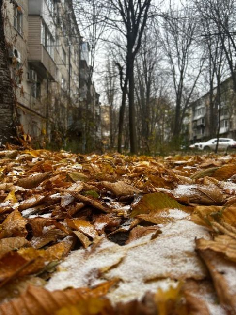 ❄ На этот раз зима в Ростове наступила вовремя. Уже утром 2 января снег, наконец, покрыл землю в городе.  Фото:..