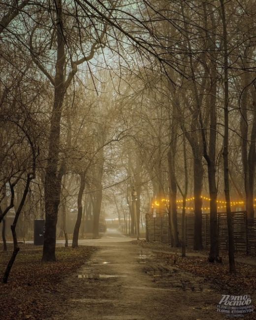 🌫 Туман окутал парк Островского сизой..