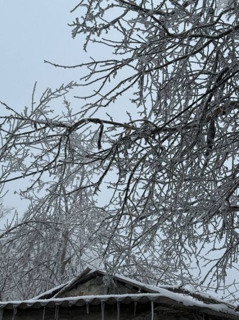 В Гуково морозно ❄️ из-за ледяного дождя оборвались линии..