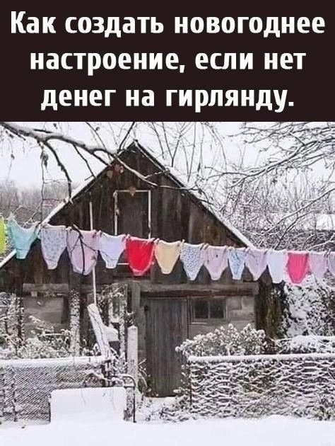 Появилось новогоднее настроение?✨  За фото спасибо нашей..