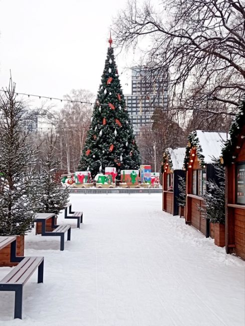 Доброе утро, Друзья ☺️
За фото спасибо нашей..