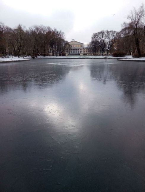 На водоёмах в Петербурге образовался тонкий лед — выход на него смертельно..