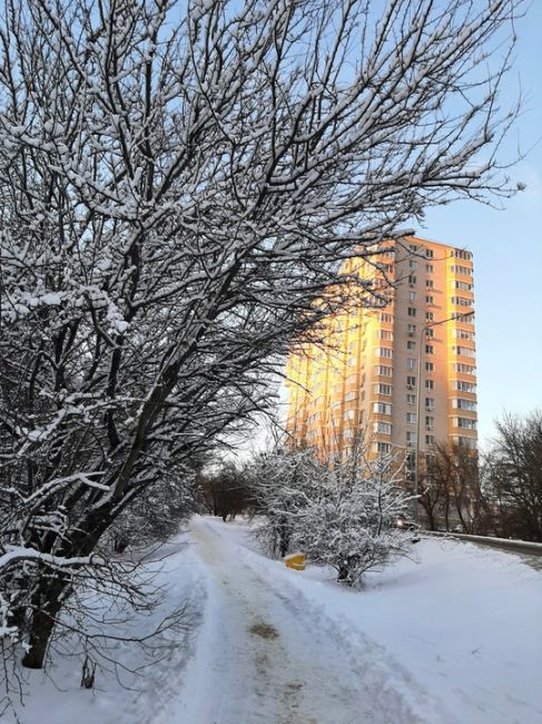 Аксай. Начало 2024...  За фото спасибо нашему..