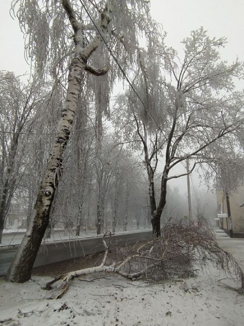 🥶 Пока в Ростове мерзко от слякоти, в Гуково настоящий ледяной ад. Из-за замерзших деревьев линии..