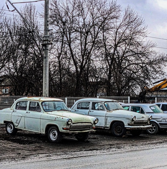 Неожиданные экземпляры на парковке в..