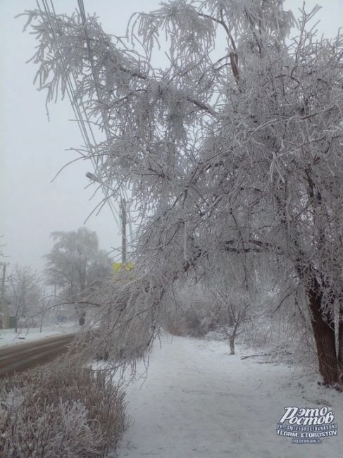 ❄️🧊  Ледяной шторм в Гуково. Из-за наледи деревья начали падать и обрывать провода. Часть города сидит без..