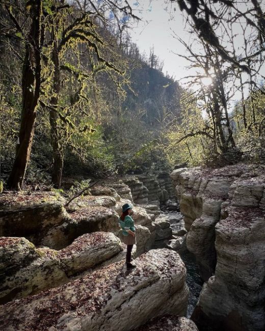 Декабрь в горах Сочи ⛰️🌳  фото..