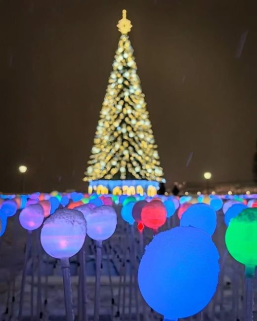 ✨На стрелке Васильевского острова включили праздничную яркую..