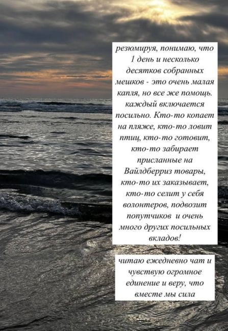 Каково быть волонтером и убирать мазут на пляжах Анапы  «В первую очередь приехали в штаб на Черноморскую,..