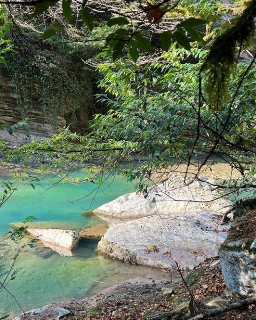 Декабрь в горах Сочи ⛰️🌳  фото..