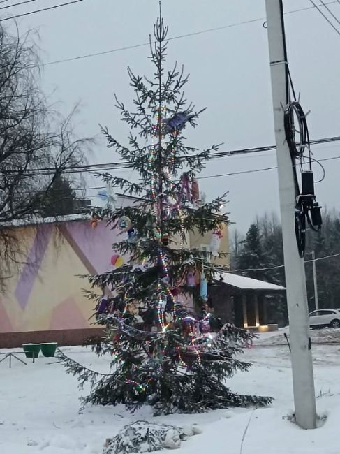 💙Зеленая «красавица» из Красной Слободы. 
Под конец года очень понимаем ее..