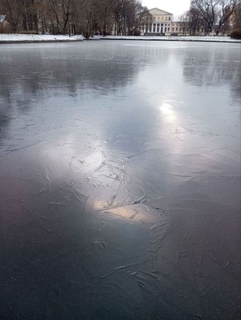 На водоёмах в Петербурге образовался тонкий лед — выход на него смертельно..