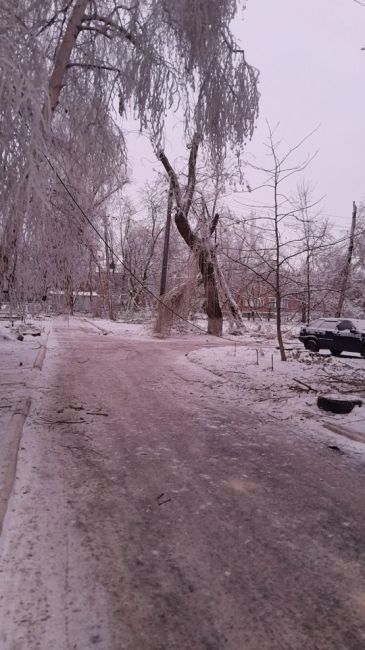 🥶 Пока в Ростове мерзко от слякоти, в Гуково настоящий ледяной ад. Из-за замерзших деревьев линии..