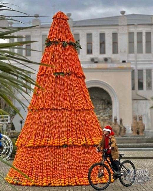 🎄🍊 Елку из мандаринов торжественно открыли в Абхазии  🎉 Она побила мировой рекорд. На конструкцию ушло..