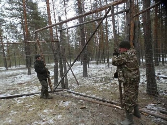 🦌 В Керженском заповеднике появится новый вид северных оленей. 
Сотрудники заповедника отправились в..