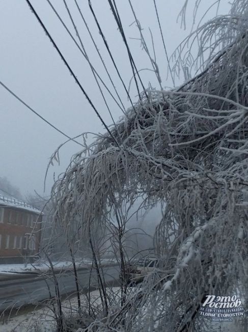 ❄️🧊  Ледяной шторм в Гуково. Из-за наледи деревья начали падать и обрывать провода. Часть города сидит без..