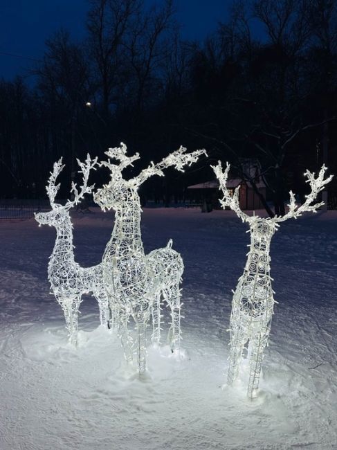 Атмосферно и в Автозаводском парке❄💙 
Красиво и уютно. Время для..