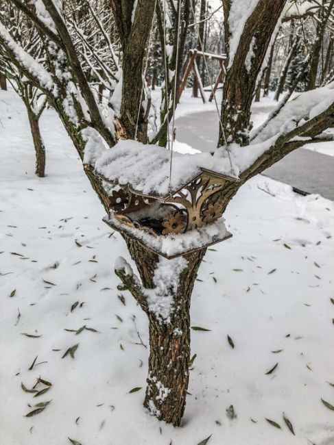 Зарисовки из парка "Швейцария"..