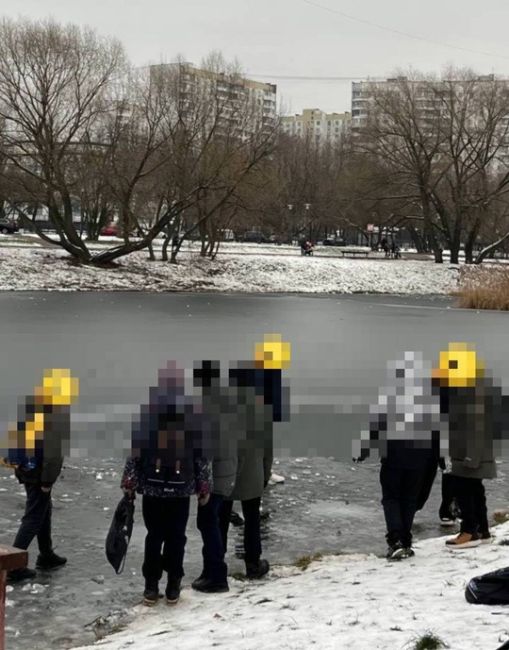 В Солнцево заметили гуляющую по льду молодежь.  Несмотря на то, что уже наступила календарная зима, лед на..