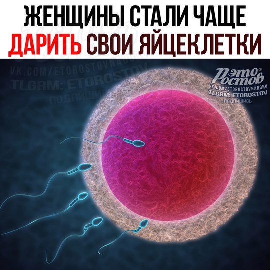 🤰 Женщины стали чаще дарить свои ЯЙЦЕКЛЕТКИ — спрос на их заморозку вырос вдвое. Такой шаг помогает..