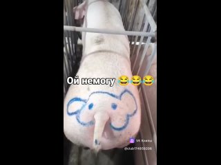 😉 Сегодня отмечается День соблазнения.  Вы знаете, что..