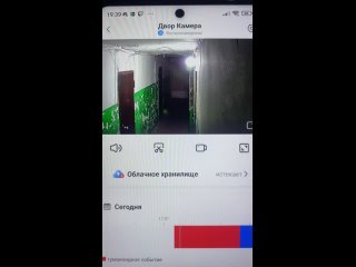 😡 «Эти малолетки нажали на кнопку пожарной сигнализации в ЖК Сказка и убежали. Пора наказывать родителей за..