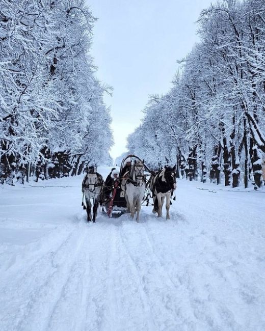 🤩 Зимняя сказка в..