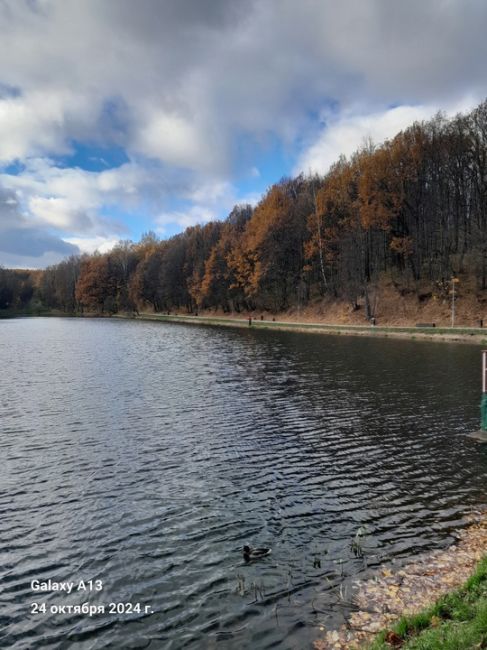 Осень 2024 года в Нижнем Новгороде. Щелоковский хутор.💙
Автор фото: Алексей..