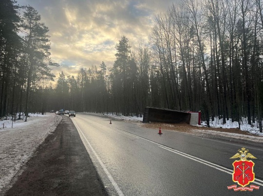 Смертельное ДТП в Выборгском районе Ленобласти 33 км автодороги "Огоньки - Стрельцово - Толоконниково" 
Там 40..