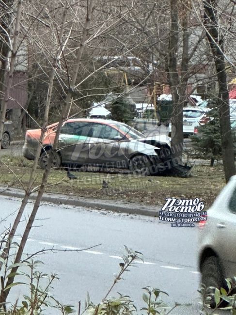 ⚠️ Делимобиль влетел в дерево на кольце Борко/Капустина. Там НЕбитые вообще..