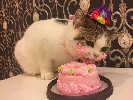 Сегодня отмечается День кондитерских изделий 🎂  Отправь любителю..