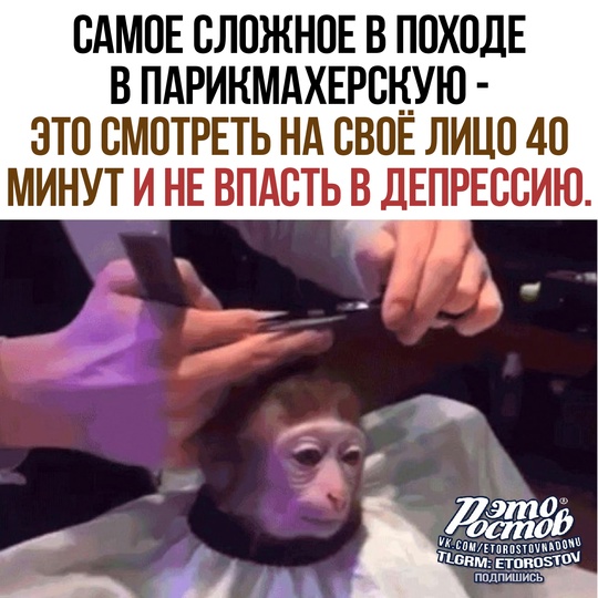 Это Ростов! Новости..