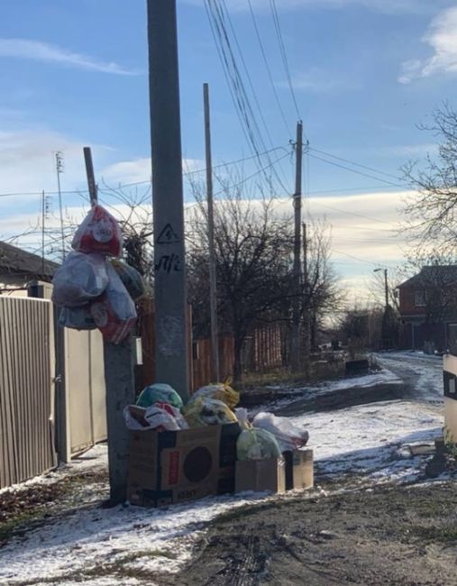 У жителей Шахт свои «новогодние» украшения.  С их слов, мусор не вывозится уже две..