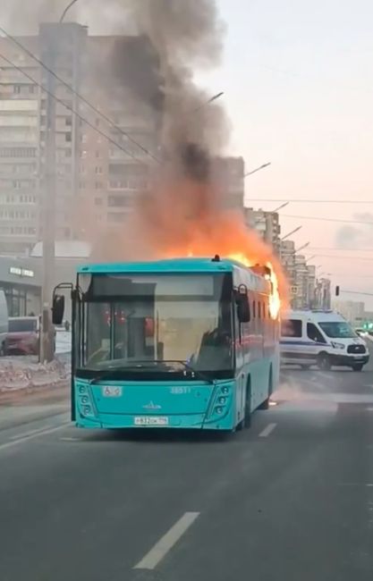 Утро в Петербурге началось не с кофе, а с очередного сгоревшего лазурного автобуса. В этот раз общественный..