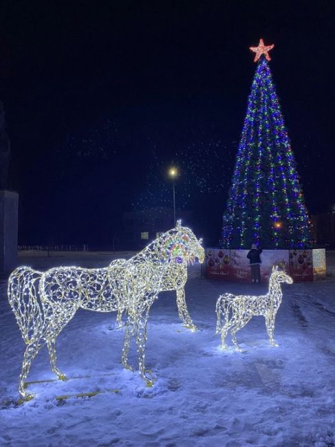 Новогодняя станица..