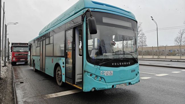 Грузовик догнал лазурный автобус в Красном Селе  Очередное ДТП с общественным транспортом произошло..