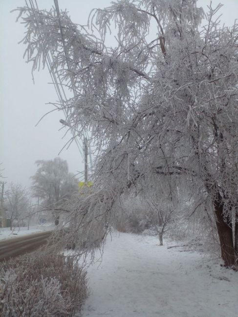 В Гуково морозно ❄️ из-за ледяного дождя оборвались линии..