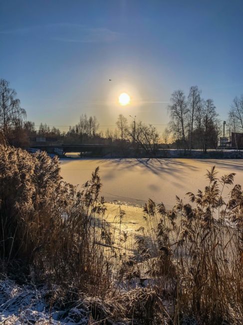 Такое редкое солнце декабря над Сормовским озером ☀️  Фото: [id492844872|Маша Фромраша]..