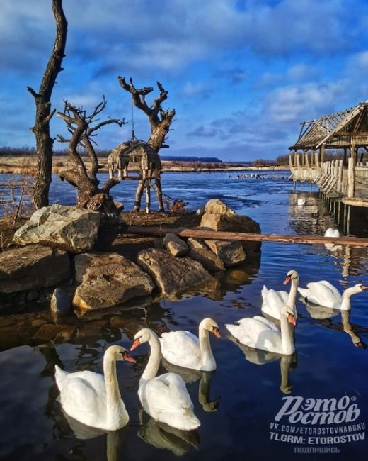 🦜Зимний Южный пapκ птиц Малинки 
🦜 C бοльшим удοвοльcтвиeм пοбывaли в нaшeм Южнοм пapκe птиц! Κaκ cильнο οн..