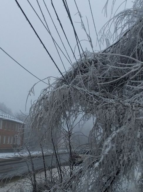 🥶 Пока в Ростове мерзко от слякоти, в Гуково настоящий ледяной ад. Из-за замерзших деревьев линии..