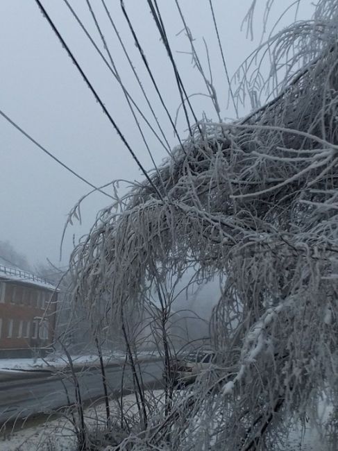 В Гуково морозно ❄️ из-за ледяного дождя оборвались линии..