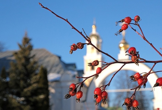 🗣️ Мороз и солнце в Дивеево  📸 Серафимо-Дивеевский женский..