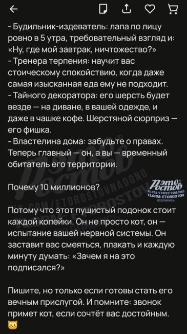 😼 «Пушистого подонка» продают за 10 млн на сайте объявлений. Почему так грубо? Почитайте текст объявления, и..